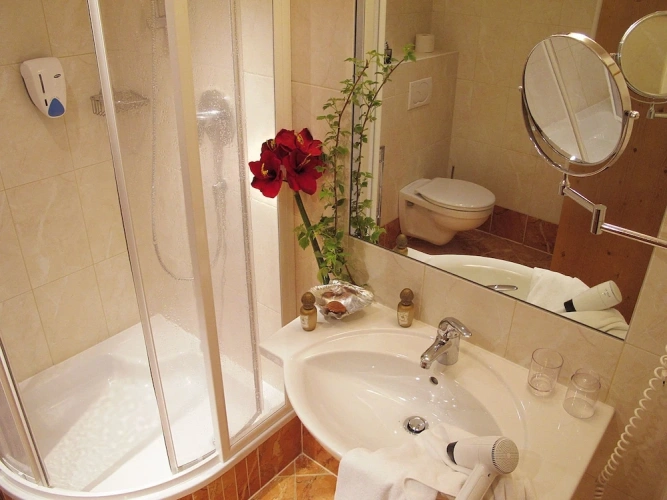 Comfort Double room with balcony and with mountain view