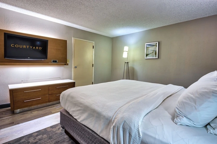 1 Bedroom Executive Suite