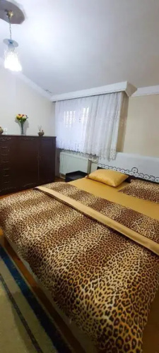Kalkınma 5+1