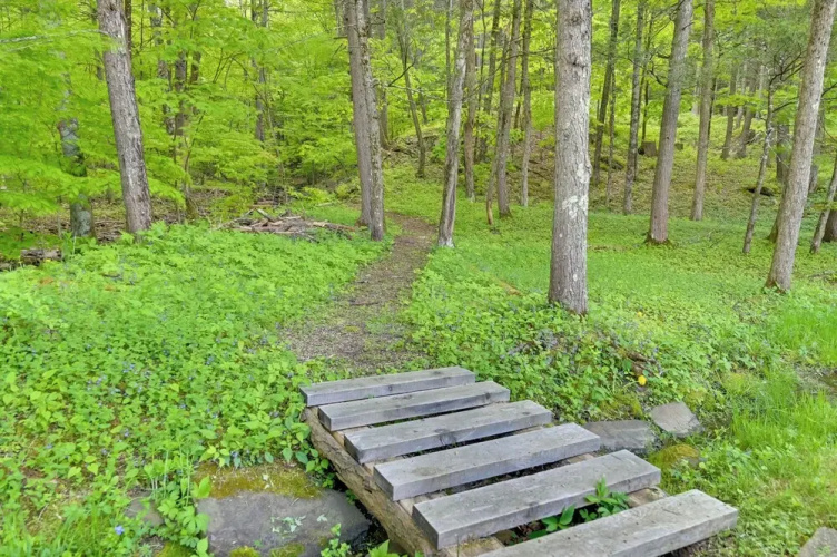 Cozy Catskills Cabin - 12 Mi to Windham Mountain!