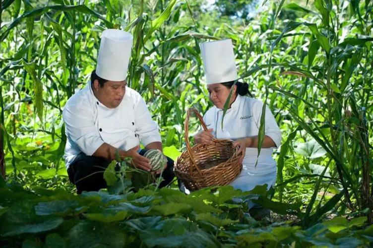 Hacienda Chichen Resort & Yaxkin Spa