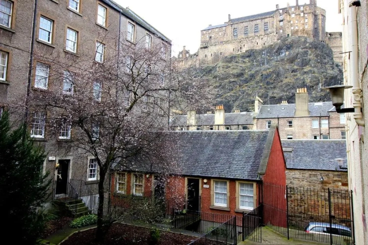 Double Basement Apartment