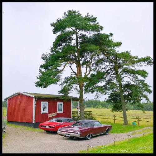 EddyLou Ranch