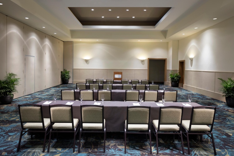 The Westin Puntacana Resort and Club photo 22