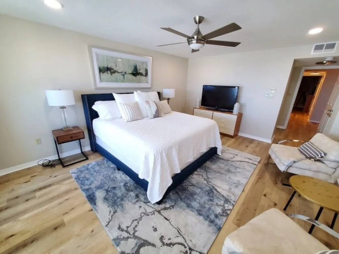 Sand Dollar 404