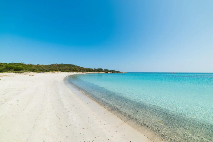 San Teodoro (Apt. 561646)