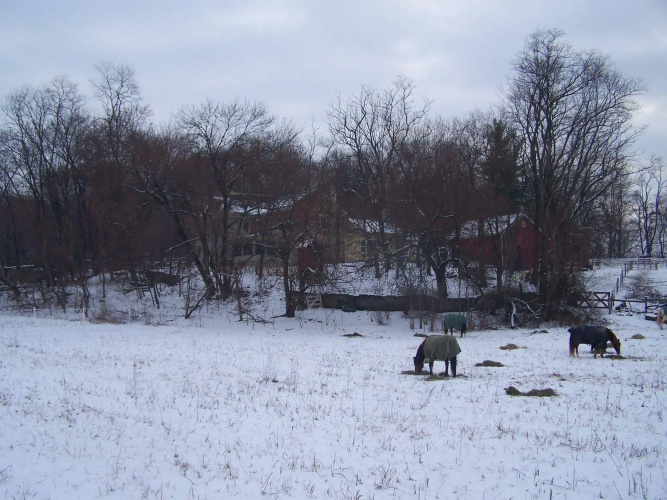 Fallen Tree Farm Bed & Breakfast