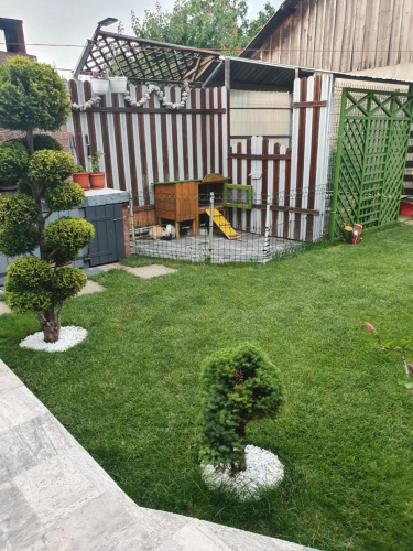Vila alex