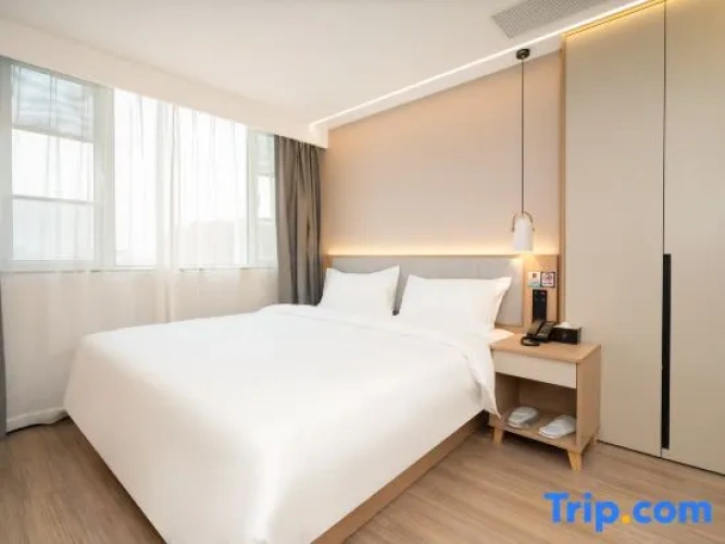 1 Bedroom Suite