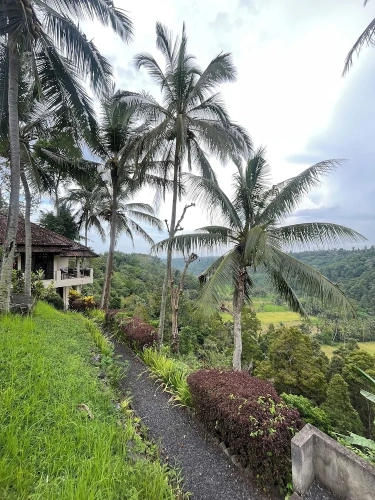 Superior Double room with mountain view