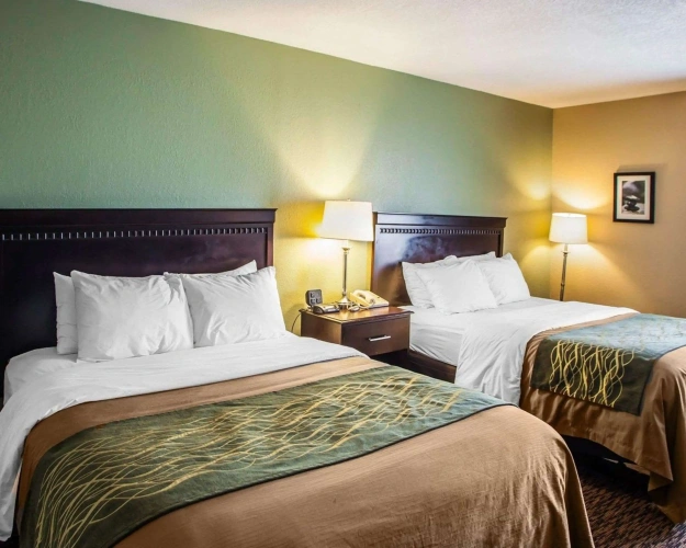 Standard Quadruple room