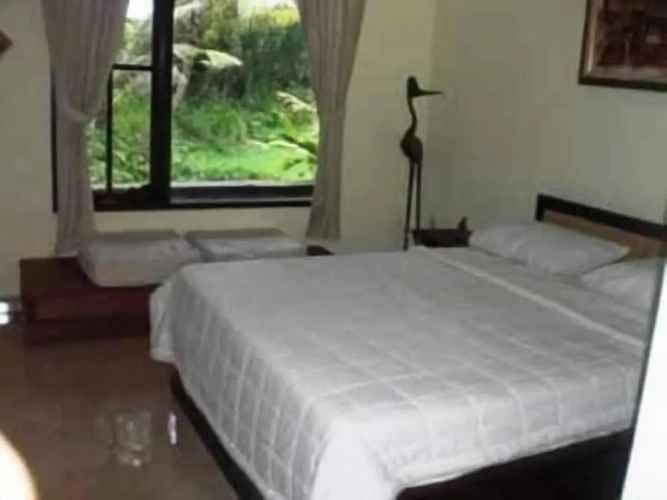 Superior Double room with balcony and with garden view