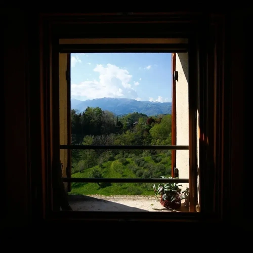 Apartment with garden view