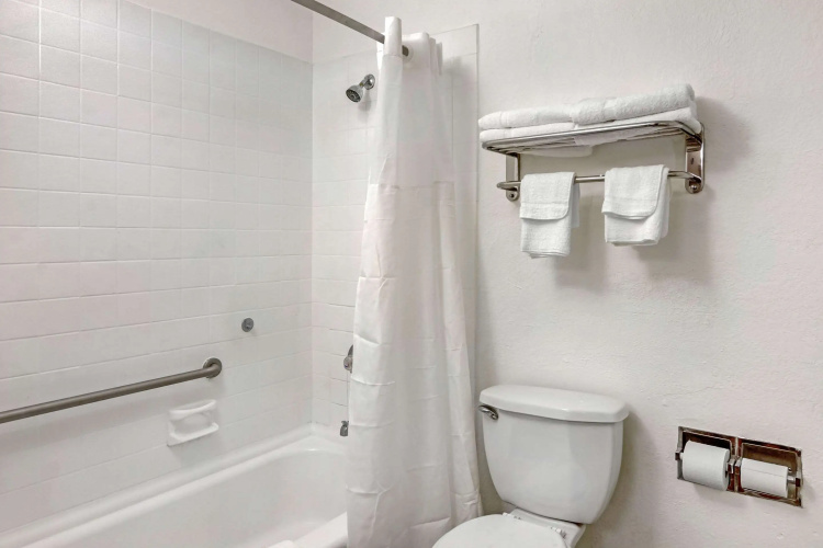 Quality Inn & Suites Ruther Glen