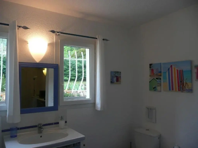 Superior Studio with view