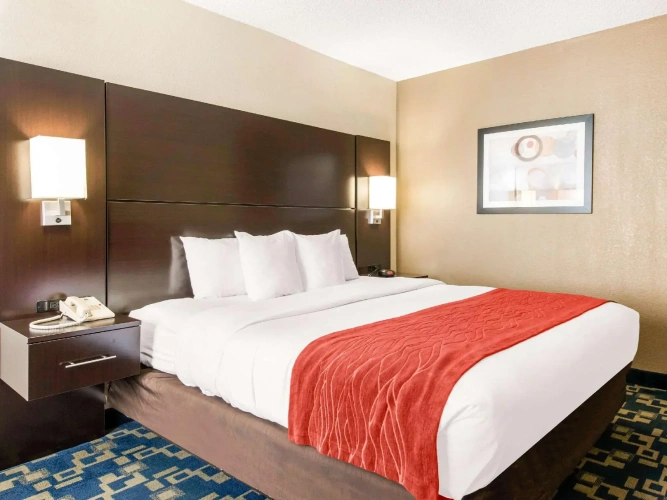 Standard Accessible Double room