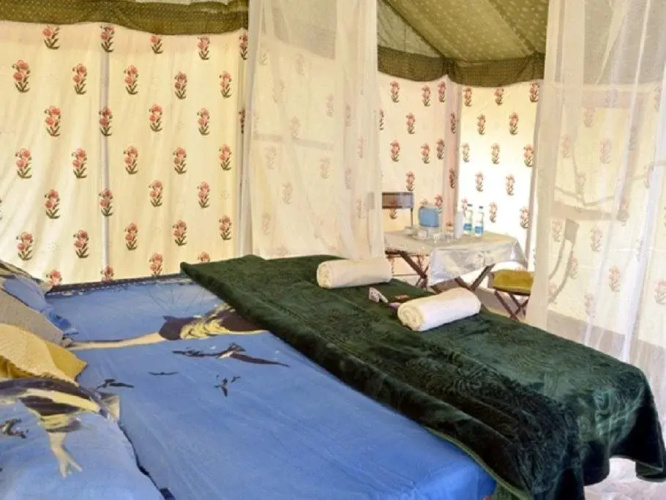Camp Paradise