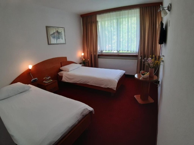 Standard Double room with garden view