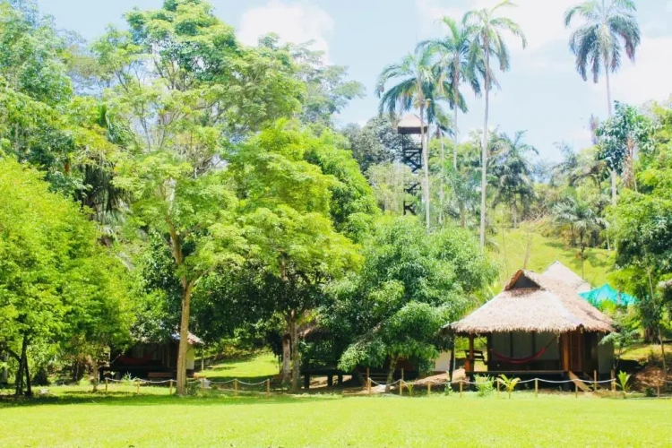 1 Bedroom Chalet