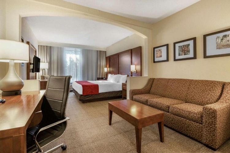 Suite