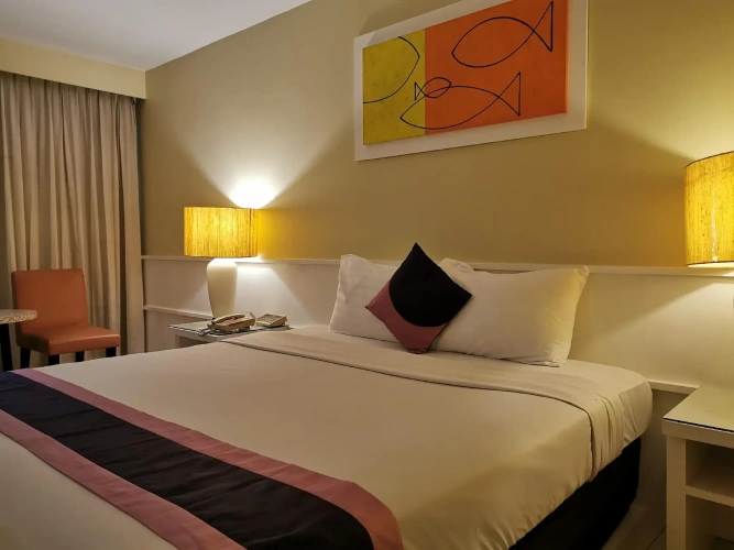 Superior room with city view