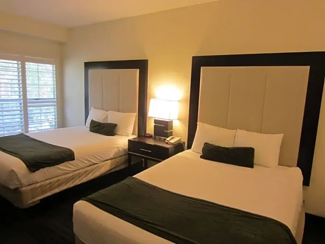 Deluxe Quadruple room