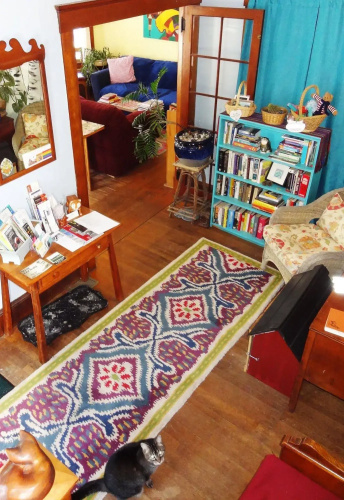 The One Cat B&B