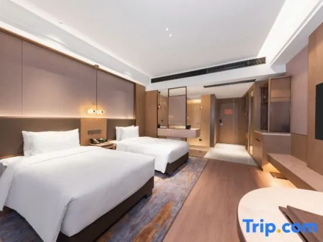 Executive Twin room