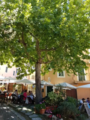 Case Antico Comune