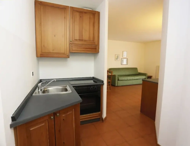 1 Bedroom Standard Apartment