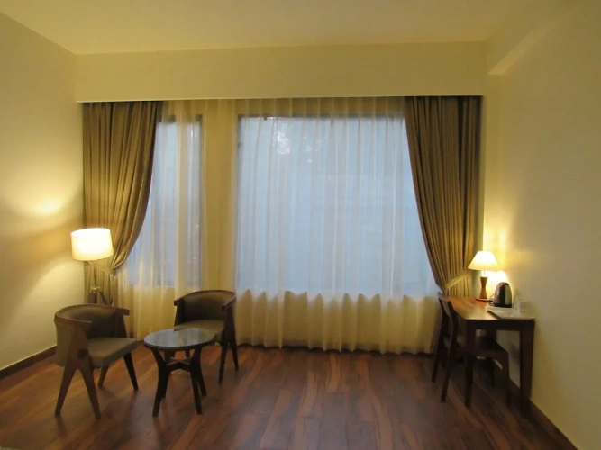 Deluxe Double room with balcony and with view