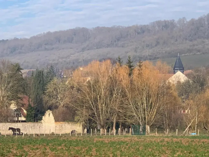 Le studio du botaniste