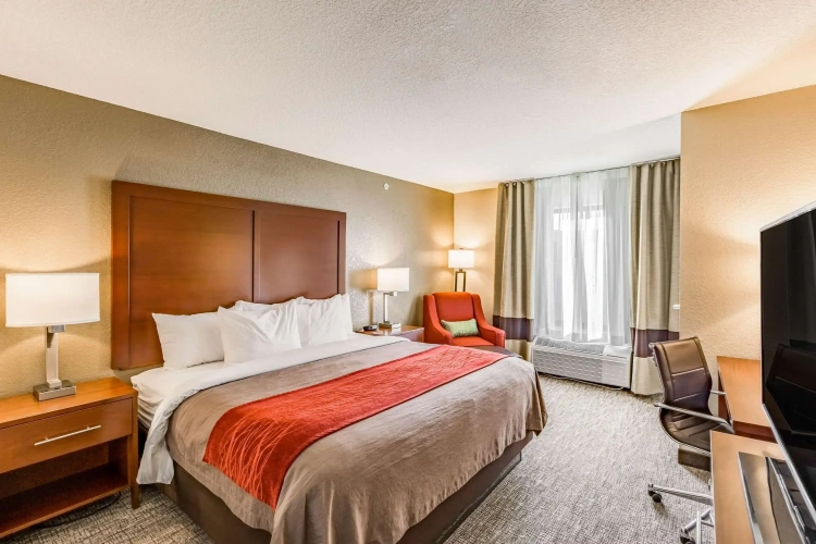 Standard Double room