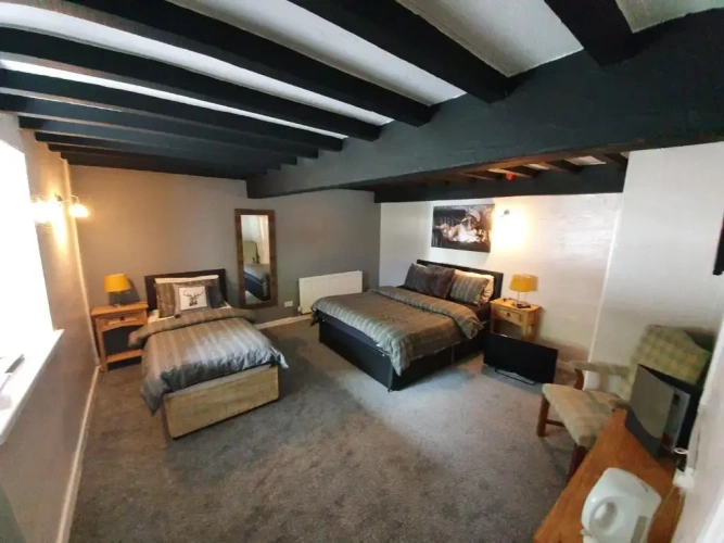 Standard Twin room with mountain view