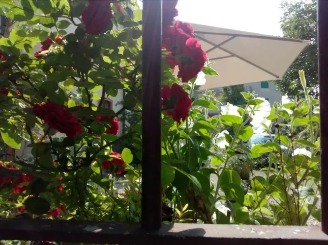 Deluxe Double room with balcony
