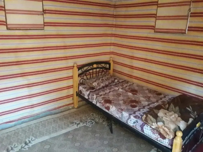 Wildlife Camp