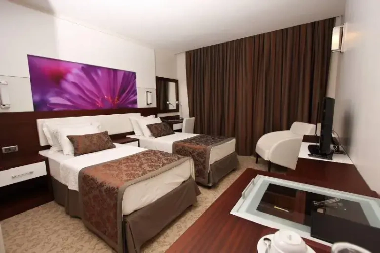 Standard Twin room with view
