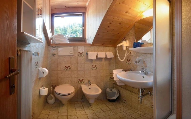 Standard Penthouse room