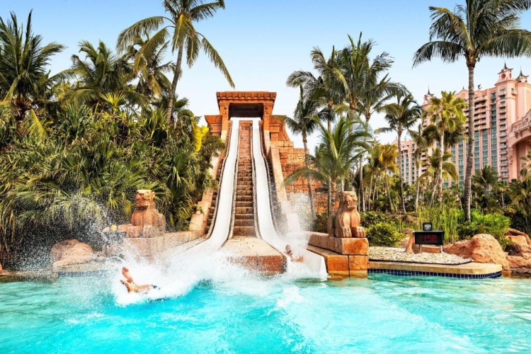 The Reef Atlantis photo 11
