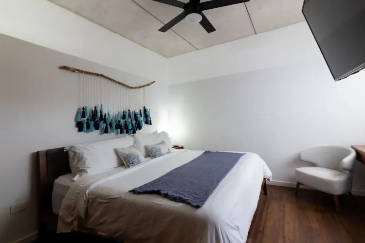 Areca 201 by CocoBR
