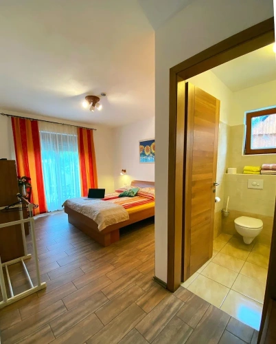 Classic Double room with balcony and with mountain view