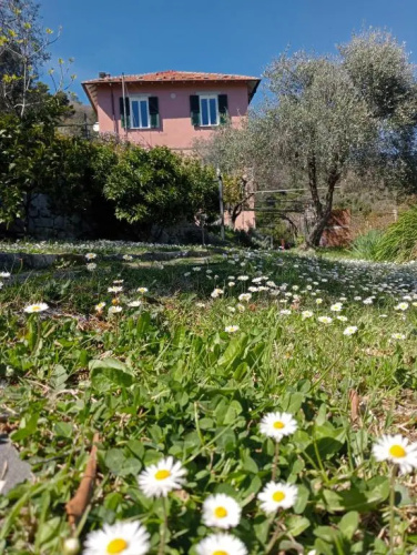 Tenuta di Venere