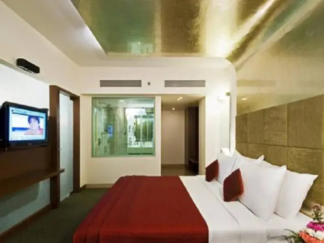 Hotel Krishna inn