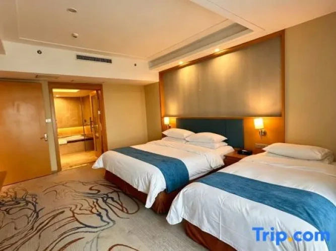 Comfort Family Suite