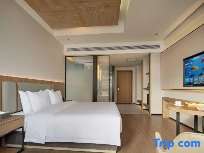 Deluxe Double room with city view