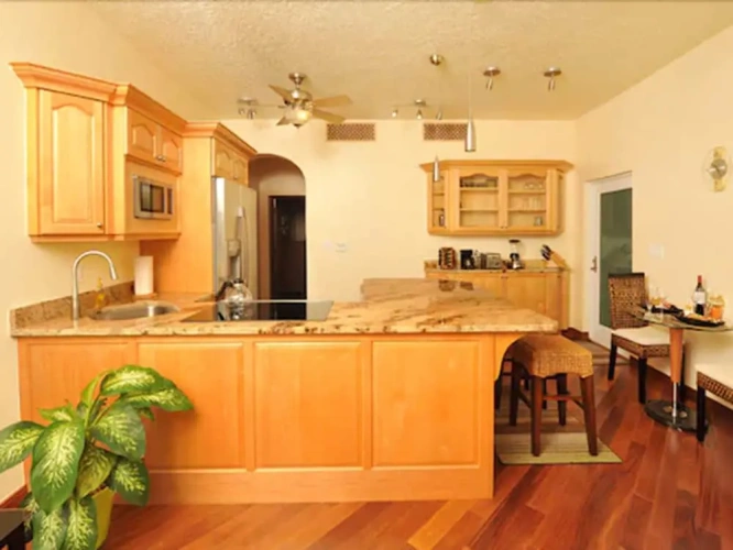 1 Bedroom Deluxe Suite