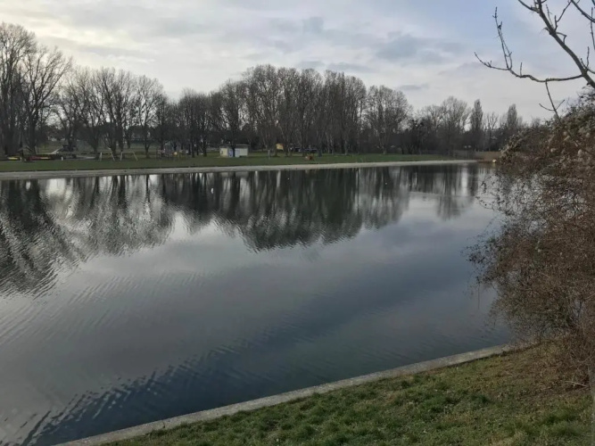 Alte Donau