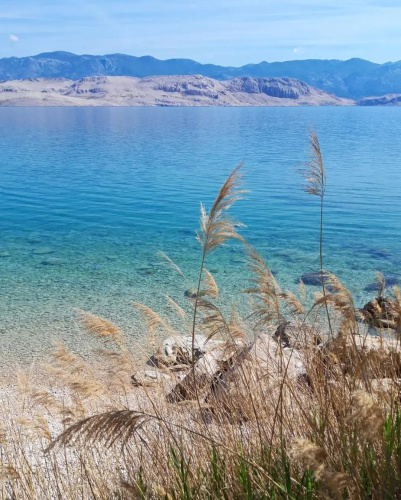 Apartments Pocrnić - 50 m from the beach
