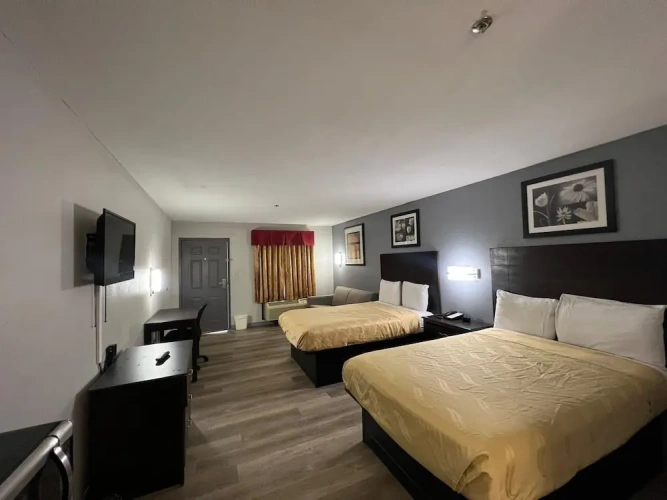 Quadruple Suite