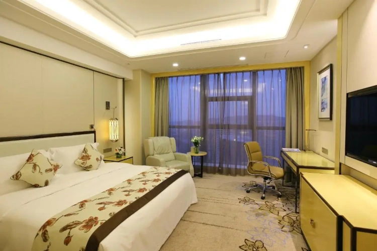 Deluxe Suite with view